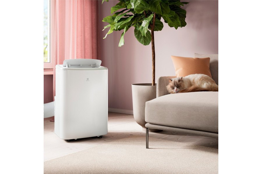 343efc076e20d5c72ebb2adff46a6e596d